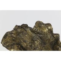 Light & Living Sidomi wandlamp - antiek brons