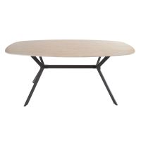 Fraaai Dexter Deens ovale eettafel - 180 cm - keramiek
