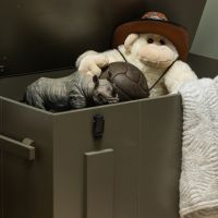 Woood Bobby opbergkist grenen - forest