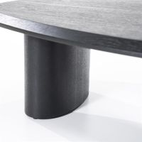 Eleonora Organische salontafel Walter - eiken - 96x78 cm - zwart