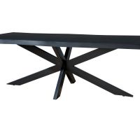 Livingfurn Kala spider tree top zwart 220cm