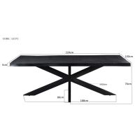 Livingfurn Kala spider tree top zwart 220cm