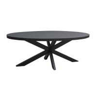 Livingfurn Kala eettafel spider ovaal 210 cm