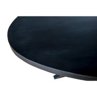 Livingfurn Kala eettafel spider ovaal 210 cm