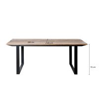 Livingfurn Eettafel Valdez 200 cm