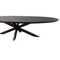 Starfurn Eettafel Brandy ovaal 160 cm - zwart