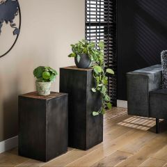 Fraaai Plantentafel / Bijzettafel Roger 