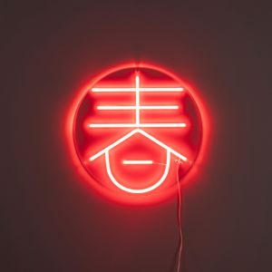 Dutchbone Sya neon wandlamp - lente